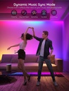 Govee Tira de luces LED RGBIC de 30 metros, luces LED inteligentes que funcionan con Alexa y Google Assistant